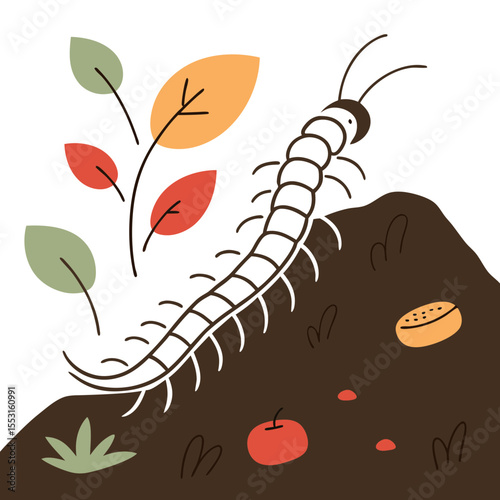 Centipede crawling on compost pile with autumn leaves nearby, concept of garden pests  