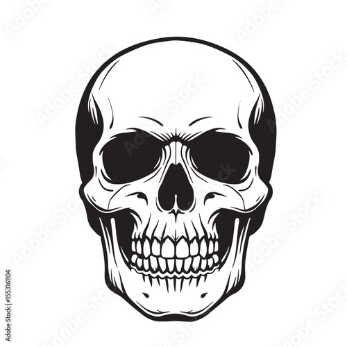 Detailed vintage art silhouette of a human skull showcasing intricate bone structure and artistic representation for design