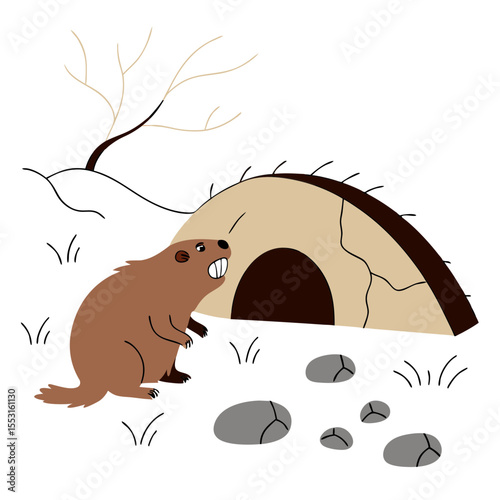 Gopher standing near its tunnel in a grassy garden landscape  