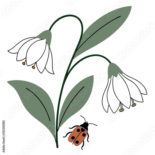 Illustration of white flowers with green leaves and a Japanese beetle  