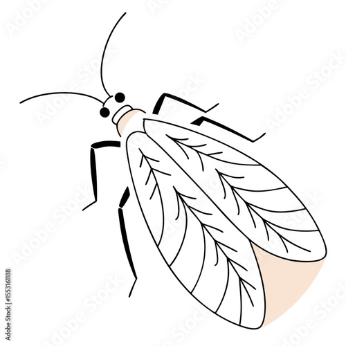 Spotted-wing lace bug illustration on white background representing garden pests  