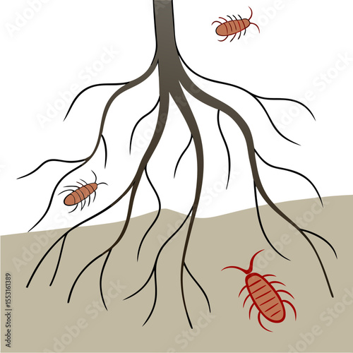 Roots with root-knot nematodes affecting garden health and growth  