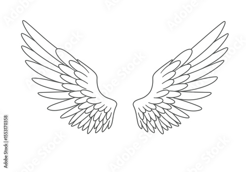 Unicorn wings drawing. It is a black and white outline image of unicorn wings drawing, depicting a pair of majestic feathered wings. Vector sketch line art draw.