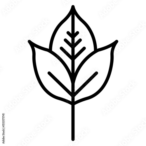 Leaf Vector Icon