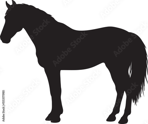 Albanian horse in silhouette vector pure white background.