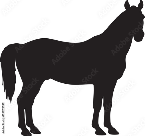 Albanian horse in silhouette vector pure white background.