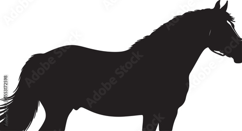 Altwürttemberger horse in silhouette vector pure white background.