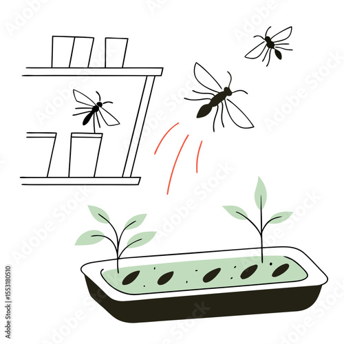 Fungal gnats flying around seedlings in a indoor planting setup  
