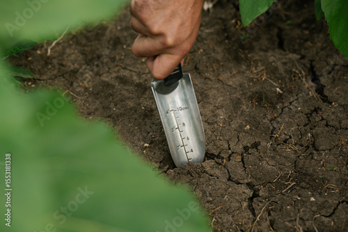 Close-up of a male hand holding an agronomic shovel inserted into the soil.  Soil testing, farming tools,  agricultural fieldwork, highlighting agronomy 