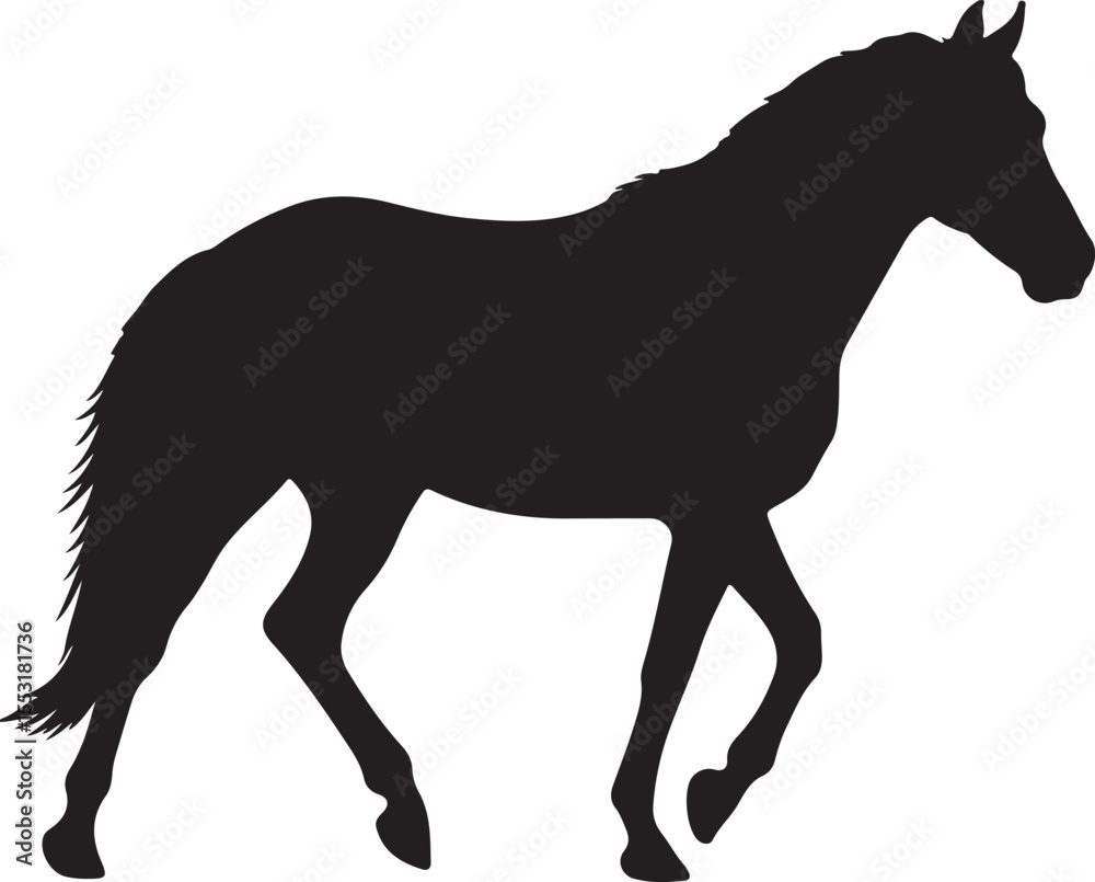Fototapeta premium Brazilian Sport Horse in silhouette vector pure white background.