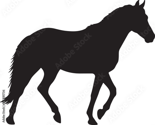 Brazilian Sport Horse in silhouette vector pure white background.