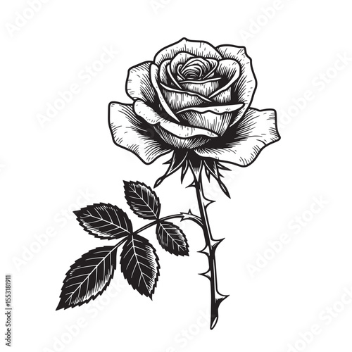 Elegant black and white vintage art silhouette of a beautiful rose with thorns and lush foliage, botanical illustration.