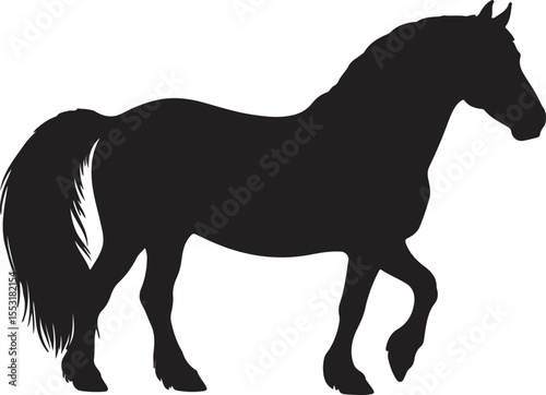 Breton horse in silhouette vector pure white.