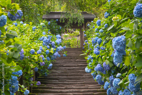 明月院　山門前の石段