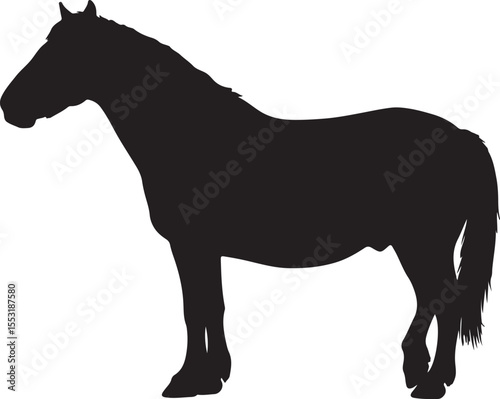 Camargue horse in silhouette vector pure white background good.