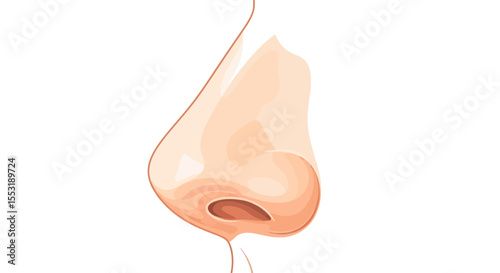 Isolated Human Nose Illustration with Realistic Skin Tone and Detail