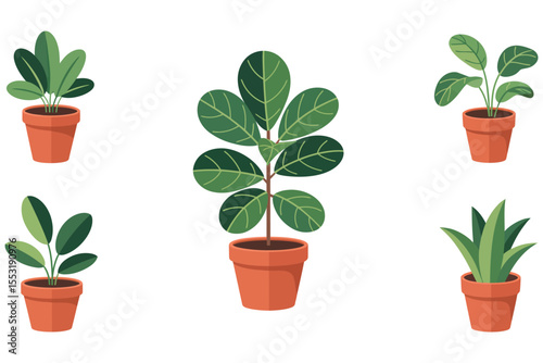 Isolated potted green plant with new leaf growth