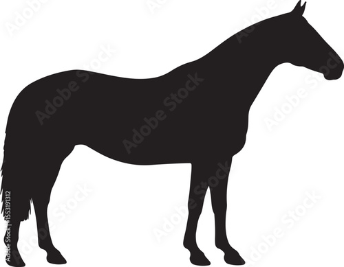 Campeiro Horse in silhouette vector pure white background.