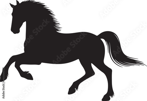 Campeiro Horse in silhouette vector pure white background.