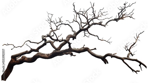 A dry tree branch, stark and isolated against a pure white background. This simple yet evocative image can be used in various nature - themed projects, such as environmental awareness campaigns, 