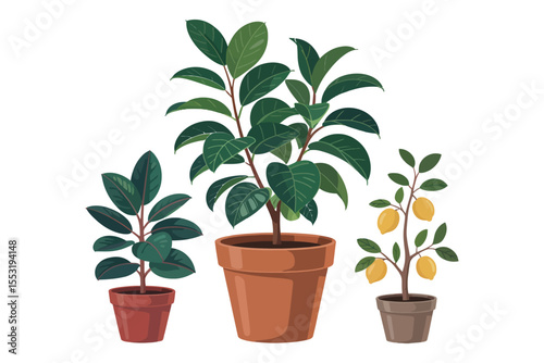 Green potted houseplant with lush leaves, perfect for home gardening and nature-inspired growth