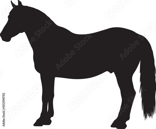 Caspian horse in silhouette vector pure white background good.