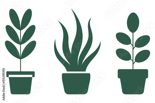 Growth of green flora: isolated vector illustration of a houseplant in a white pot with leaves and flowers