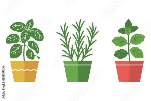 Small green houseplant in a white pot, isolated for new growth