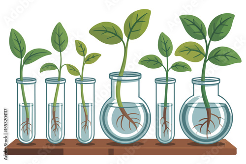 Green plant in a glass test tube symbolizing nature's growth and life