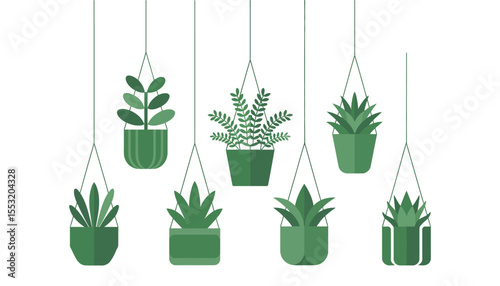 A vector illustration of a set of green potted plants including cactus, aloe, and other succulents, isolated for decoration or botany