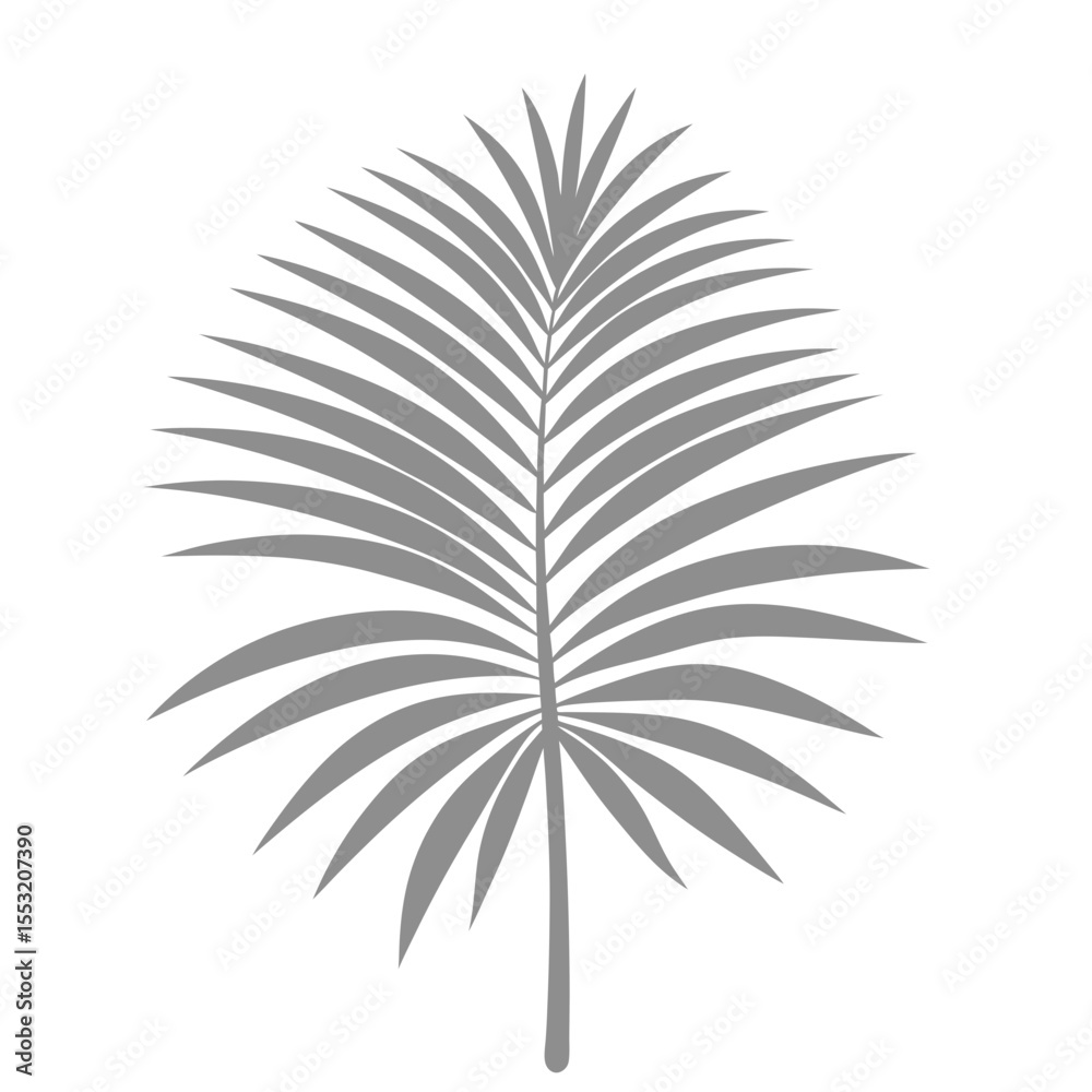 Fototapeta premium Palm Leave Illustration