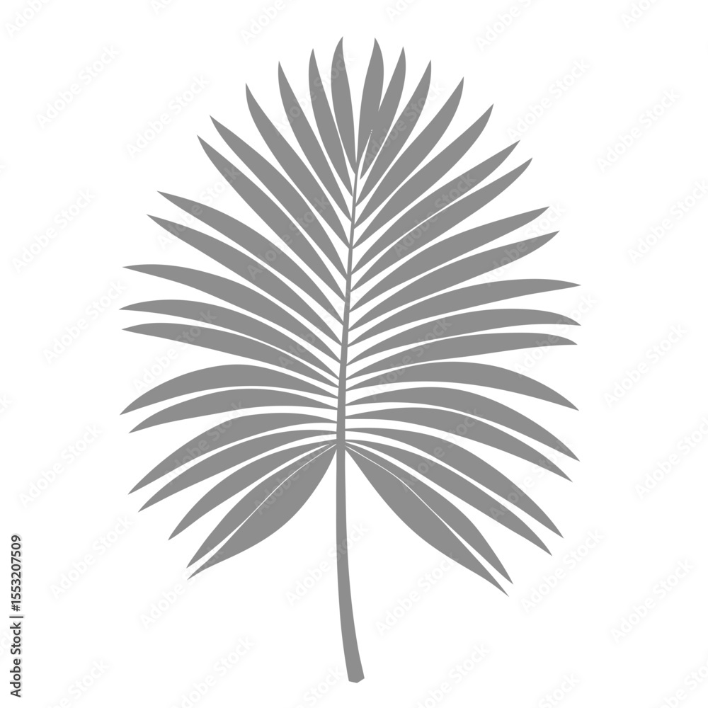 Obraz premium Palm Leave Illustration