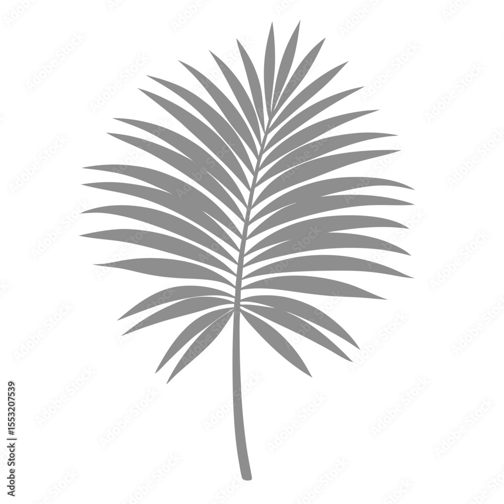 Fototapeta premium Palm Leave Illustration