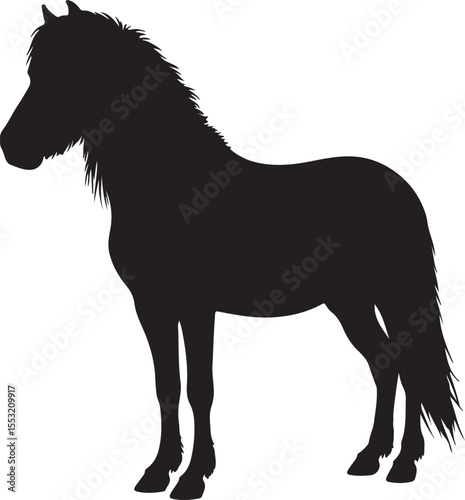 Manipuri Pony in silhouette pure white background. 