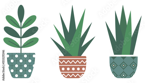 Green houseplant cactus with flowers in a pot, a succulent decoration in nature