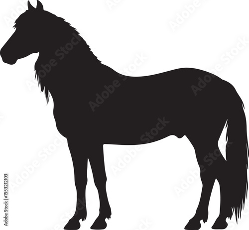 Messara horse in silhouette pure white background.