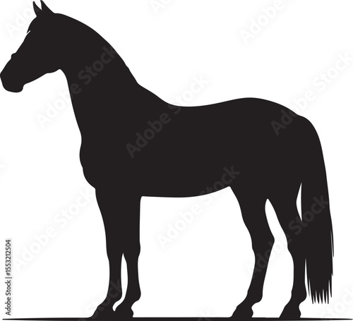 Mezohegyes felver sport horse in silhouette pure white background.