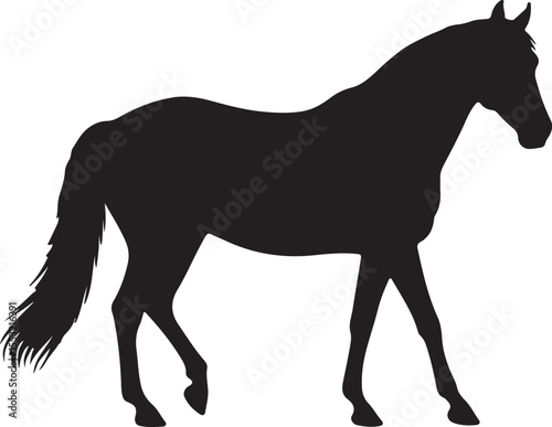 Murgese in silhouette pure white background.