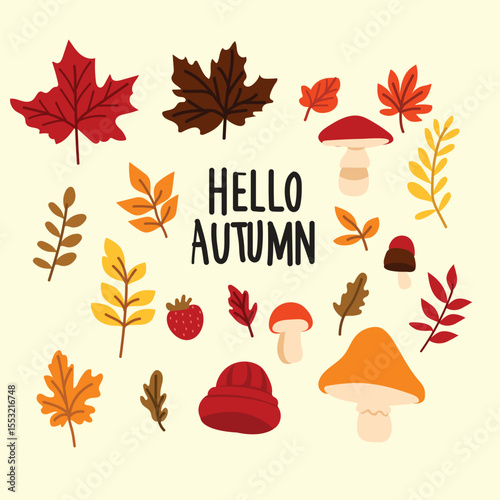 Hand drawn autumn leaves collection  isolated set, autumn elements illustration