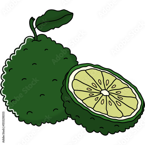 Kaffir lime