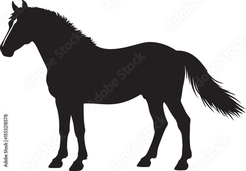 Nivernais horse in silhouette pure white background.
