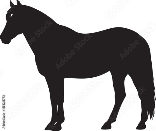 Nokota horse horse in silhouette pure white background.