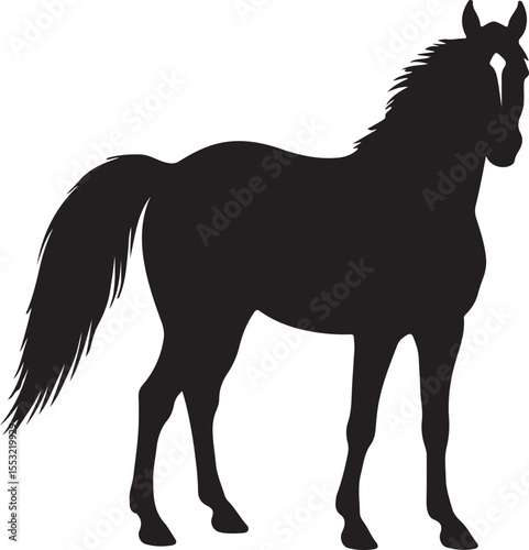 Nokota horse horse in silhouette pure white background.