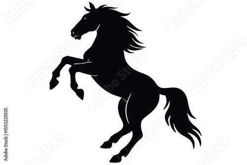 horse rearing on hind legs with a determined expre