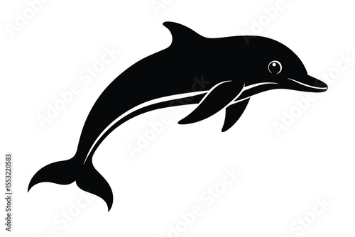 jumping dolphin vector illustration on white backg