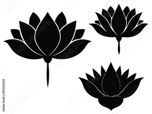 set of three silhouettes of lotus flowers vector
