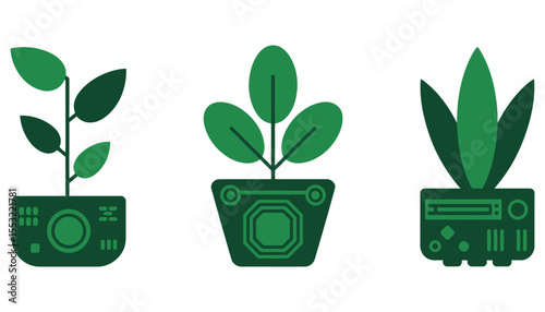 Potted green houseplant with lush leaves, symbolizing nature and growth