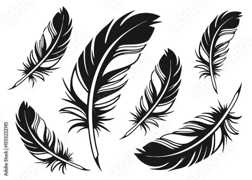 vector collection of black feather silhouettes