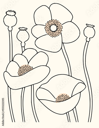 Minimilist stylized poppy flowers and seed pods with black outlines and light pink centers on a cream background vector