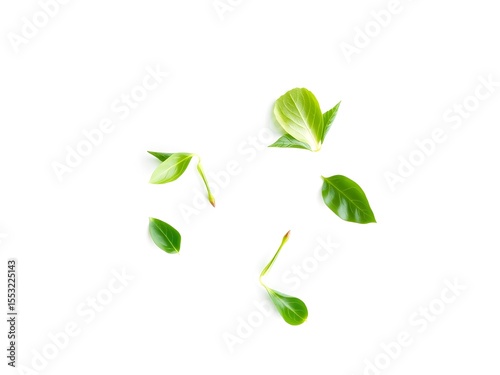 Recycling Leaves Icon on Light Background – Eco-Friendly Concept of Sustainable Production, Eco Plastic, and Green Fuel (AI Generated)